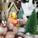 Angela Kinsey Instagram - Christmas Kitty loves the village 😼