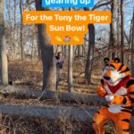 Anthony 'Spice' Adams Instagram - It’s almost time for kickoff at the Tony the Tiger Sun Bowl and Tony and @spiceadams are gearing up for some friendly competition after the first quarter! Share your prediction for who’ll be the champ in the comments below and add #sweepstakes for a chance to win some custom Tony swag! Be sure to catch all the game day action December 29th, only on @cbssports!🔥 Official rules at FrostedFlakes.com/giveaway