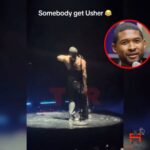 Anthony ‘Spice’ Adams Instagram – I’m sorry @usher They told me I had 24 hours!! Everybody was in @theshaderoom comments using the bat signal.  If you don’t believe me, go look in the comments yourself.  Yall don’t believe when I tell yall about THEY.  Look at the comments!! Anywho I nailed it! #SpiceGot24Hours