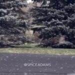 Anthony 'Spice' Adams Instagram -