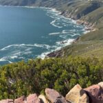 Anthony Anderson Instagram - When you wake up and take an adventure with your brother from another mother @deecamzi It was a great day. I did everything but kiss the seal! We went thru Chapmans peak on the way to cape point. #justakidfromcompton #fromcomptontocapetown #huskyandhandsome #acbarbeque Tamboerskloof, Western Cape, South Africa