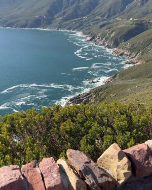 Anthony Anderson Instagram - When you wake up and take an adventure with your brother from another mother @deecamzi It was a great day. I did everything but kiss the seal! We went thru Chapmans peak on the way to cape point. #justakidfromcompton #fromcomptontocapetown #huskyandhandsome #acbarbeque
