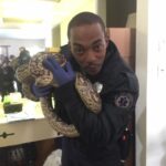 Anthony Mackie Instagram - #Synchronic is top spot on Netflix!!! Thank you to everyone for checking it out. I have to say... it was great to shoot a movie in Nola! My Man @jamiedornan hasn’t been the same since! LoL