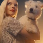 Anya Taylor-Joy Instagram - ONCE UPON A TIME… Bobby was Christian Dior’s four-legged loyal companion with whom he loved to stroll through his favorite gardens, admiring its floral treasures. This Holiday season, Bobby celebrates this cherished time of the year with the House Ambassador @AnyaTaylorJoy, paying tribute to the garden that inspired many Dior creations, the Parisian Tuileries Garden. #DiorBeauty #DiorHoliday #DreamInDior