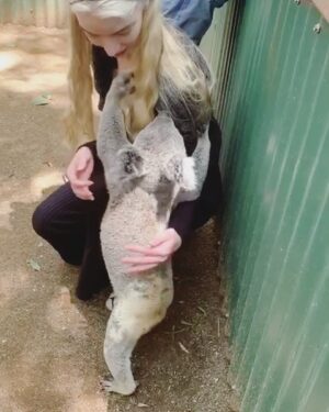 Anya Taylor-Joy Instagram - In a rare respite from the wasteland, I was lucky enough to go and spend a day learning about the incredible fauna of Australia, specifically koalas. And to my absolute amazement and delight, this little guy dropped down from his tree and graced me with a cuddle. I am so appreciative of these conservation centers and the volunteers that work tirelessly in them. It is crazy to think that for many of these animals, they are more affected by human intervention in the wild then in these sanctuaries. The spreading of awareness of what deforestation, climate change and frankly, a multitude of mostly human caused issues is doing to our fellow earthlings is devastating but necessary. I barely have an idea of where to start making things better for them but I hope for the sake of everyone, we preserve and protect these beautiful creatures. Thank you to the hardworking folk at the hospital helping their wild counterparts recover from disease and the fires. I hope we all keep trying to take care of each other.