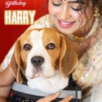 Apsara Rani Instagram – Happy Birthday my lil Harry Boy❤️
You’re the epitome of pure happiness in tiny form😍🐶❤️♾️🫠🐾

Thank you @my.memoriesofficial01 for clicking such beautiful pictures❤️☺️