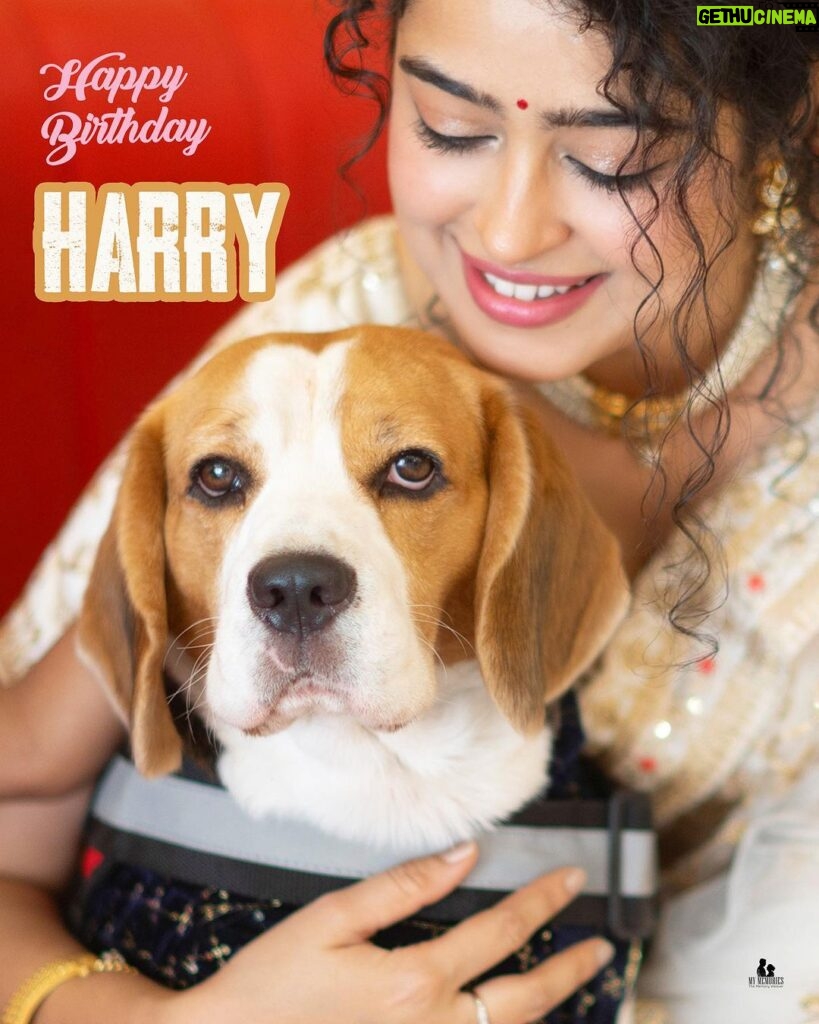 Apsara Rani Instagram - Happy Birthday my lil Harry Boy❤️ You’re the epitome of pure happiness in tiny form😍🐶❤️♾️🫠🐾 Thank you @my.memoriesofficial01 for clicking such beautiful pictures❤️☺️