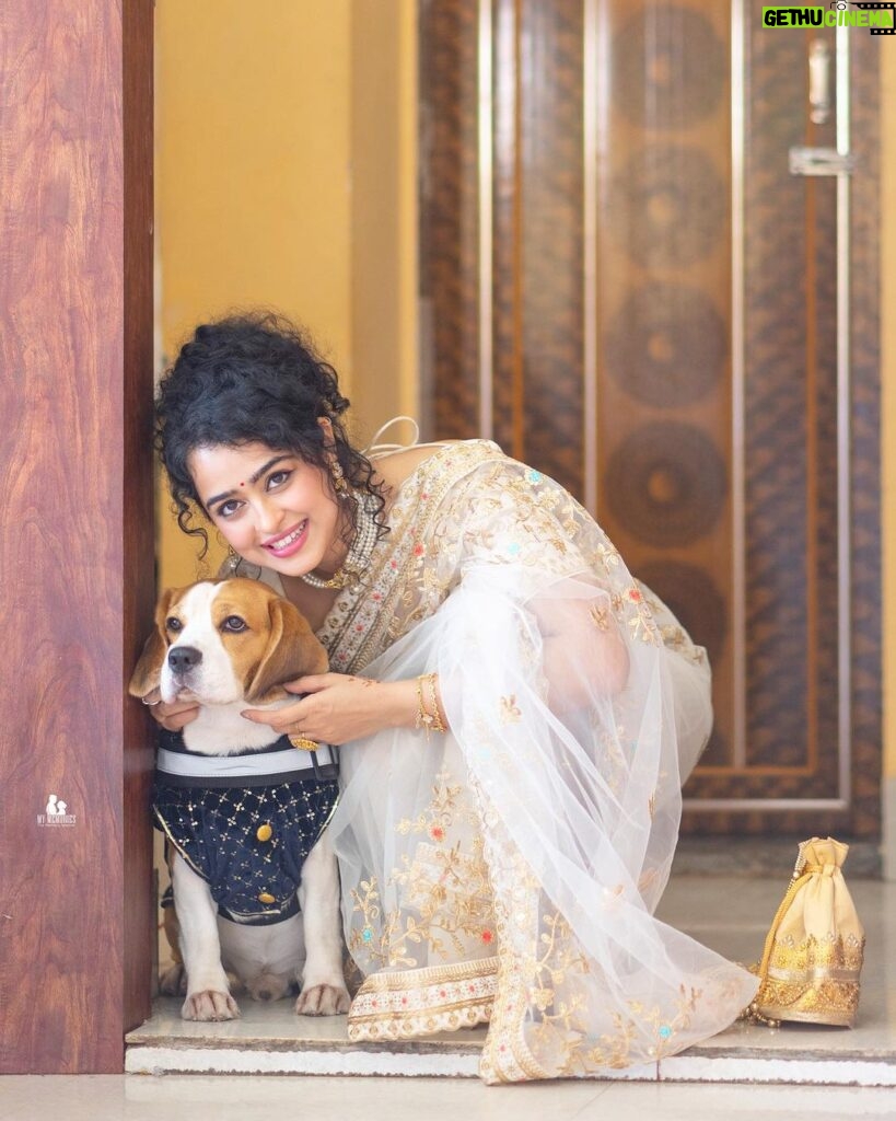 Apsara Rani Instagram - Happy Birthday my lil Harry Boy❤️ You’re the epitome of pure happiness in tiny form😍🐶❤️♾️🫠🐾 Thank you @my.memoriesofficial01 for clicking such beautiful pictures❤️☺️