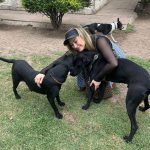 Aracely Arámbula Instagram - Amor del bueno !!! ✨🐶🐶🐶♥️♥️♥️ mis rescatados listos para irse en adopción a mi amada tierra Chihuahua 🫶 abrazándonos porque se van la cd Juárez donde van a estar super bien atendidos y con mucho espacio para correr libres donde puedan jugar y pasarla muy bien ✨👌🫶👍🏻😍🐶 gracias por adoptar a Luka mi niño de la camada de la güera que uds vieron en mis historias es in perrazo divino que amo y lo tuve en casa mucho tiempo muy felices y ahora con nuevo hogar ✨🫶 y la pinta rescatada de la calle con un tumor enorme cancerígeno a quien atendimos y le dimos tratamiento recibió sus quimios en abril del año pasado me llamo la veterinaria y me dijo la tenemos que dormir 🫢☹️🥲 lamé puse a llorar y le dije que hicieran todo para salvarla ✨🙏✨ me puse a pedir por ella junto con Judith y a las dos horas me mandan un video donde estaba reaccionando 😅✨🙏✨ Asi que hemos luchado mucho junto con ella por su vida y que ahora mi pinta tiene un gran hogar 🫢😍👌y ya recuperada a ella la vi en un post de @amorsinraza y tome el caso , Mauri estaba en una de mis locaciónes de La Madrastra en la iglesia con su patita lastimada la lleve al veterinario y se recuperó muy bien han pasado muchos meses los que son rescatistas saben que no es fácil que nos adopten perritos de talla grande perro con paciencia y mucho amor se logró gracias siempre hay que apostar a lo positivo y luchar por hacerlo posible estoy muy muy contenta porque les pude cumplir a estos 3 perritos y hay tantos esperando así que PORFAVOR pero no paremos de ayudar y darles la mano y pasar el mensaje de amar a los animales de respetar sus vidas y luchar por sus derechos y por darles voz ✨🙏✨ ellos valen mucho y siempre merecen una oprtunidad de mejorar su vida ✨🫶✨🐶🐶🐶 los perritos rescatados son los más agradecidos ♥️♥️♥️✨GRACIAS a toda mi ARAFAMILIA que ha seguido mis pasos como @anissapanal en españa y asi much@s GRACIAS DE CORAZÓN ♥️ NO PAREMOS 🙏😃🫶 #LOSAMO OOOOOOO !!!!!!!!
