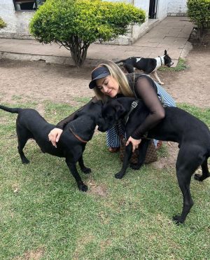 Aracely Arámbula Instagram - Amor del bueno !!! ✨🐶🐶🐶♥️♥️♥️ mis rescatados listos para irse en adopción a mi amada tierra Chihuahua 🫶 abrazándonos porque se van la cd Juárez donde van a estar super bien atendidos y con mucho espacio para correr libres donde puedan jugar y pasarla muy bien ✨👌🫶👍🏻😍🐶 gracias por adoptar a Luka mi niño de la camada de la güera que uds vieron en mis historias es in perrazo divino que amo y lo tuve en casa mucho tiempo muy felices y ahora con nuevo hogar ✨🫶 y la pinta rescatada de la calle con un tumor enorme cancerígeno a quien atendimos y le dimos tratamiento recibió sus quimios en abril del año pasado me llamo la veterinaria y me dijo la tenemos que dormir 🫢☹️🥲 lamé puse a llorar y le dije que hicieran todo para salvarla ✨🙏✨ me puse a pedir por ella junto con Judith y a las dos horas me mandan un video donde estaba reaccionando 😅✨🙏✨ Asi que hemos luchado mucho junto con ella por su vida y que ahora mi pinta tiene un gran hogar 🫢😍👌y ya recuperada a ella la vi en un post de @amorsinraza y tome el caso , Mauri estaba en una de mis locaciónes de La Madrastra en la iglesia con su patita lastimada la lleve al veterinario y se recuperó muy bien han pasado muchos meses los que son rescatistas saben que no es fácil que nos adopten perritos de talla grande perro con paciencia y mucho amor se logró gracias siempre hay que apostar a lo positivo y luchar por hacerlo posible estoy muy muy contenta porque les pude cumplir a estos 3 perritos y hay tantos esperando así que PORFAVOR pero no paremos de ayudar y darles la mano y pasar el mensaje de amar a los animales de respetar sus vidas y luchar por sus derechos y por darles voz ✨🙏✨ ellos valen mucho y siempre merecen una oprtunidad de mejorar su vida ✨🫶✨🐶🐶🐶 los perritos rescatados son los más agradecidos ♥️♥️♥️✨GRACIAS a toda mi ARAFAMILIA que ha seguido mis pasos como @anissapanal en españa y asi much@s GRACIAS DE CORAZÓN ♥️ NO PAREMOS 🙏😃🫶 #LOSAMO OOOOOOO !!!!!!!!