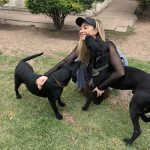 Aracely Arámbula Instagram - Amor del bueno !!! ✨🐶🐶🐶♥️♥️♥️ mis rescatados listos para irse en adopción a mi amada tierra Chihuahua 🫶 abrazándonos porque se van la cd Juárez donde van a estar super bien atendidos y con mucho espacio para correr libres donde puedan jugar y pasarla muy bien ✨👌🫶👍🏻😍🐶 gracias por adoptar a Luka mi niño de la camada de la güera que uds vieron en mis historias es in perrazo divino que amo y lo tuve en casa mucho tiempo muy felices y ahora con nuevo hogar ✨🫶 y la pinta rescatada de la calle con un tumor enorme cancerígeno a quien atendimos y le dimos tratamiento recibió sus quimios en abril del año pasado me llamo la veterinaria y me dijo la tenemos que dormir 🫢☹️🥲 lamé puse a llorar y le dije que hicieran todo para salvarla ✨🙏✨ me puse a pedir por ella junto con Judith y a las dos horas me mandan un video donde estaba reaccionando 😅✨🙏✨ Asi que hemos luchado mucho junto con ella por su vida y que ahora mi pinta tiene un gran hogar 🫢😍👌y ya recuperada a ella la vi en un post de @amorsinraza y tome el caso , Mauri estaba en una de mis locaciónes de La Madrastra en la iglesia con su patita lastimada la lleve al veterinario y se recuperó muy bien han pasado muchos meses los que son rescatistas saben que no es fácil que nos adopten perritos de talla grande perro con paciencia y mucho amor se logró gracias siempre hay que apostar a lo positivo y luchar por hacerlo posible estoy muy muy contenta porque les pude cumplir a estos 3 perritos y hay tantos esperando así que PORFAVOR pero no paremos de ayudar y darles la mano y pasar el mensaje de amar a los animales de respetar sus vidas y luchar por sus derechos y por darles voz ✨🙏✨ ellos valen mucho y siempre merecen una oprtunidad de mejorar su vida ✨🫶✨🐶🐶🐶 los perritos rescatados son los más agradecidos ♥️♥️♥️✨GRACIAS a toda mi ARAFAMILIA que ha seguido mis pasos como @anissapanal en españa y asi much@s GRACIAS DE CORAZÓN ♥️ NO PAREMOS 🙏😃🫶 #LOSAMO OOOOOOO !!!!!!!!