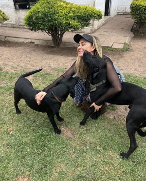 Aracely Arámbula Instagram - Amor del bueno !!! ✨🐶🐶🐶♥️♥️♥️ mis rescatados listos para irse en adopción a mi amada tierra Chihuahua 🫶 abrazándonos porque se van la cd Juárez donde van a estar super bien atendidos y con mucho espacio para correr libres donde puedan jugar y pasarla muy bien ✨👌🫶👍🏻😍🐶 gracias por adoptar a Luka mi niño de la camada de la güera que uds vieron en mis historias es in perrazo divino que amo y lo tuve en casa mucho tiempo muy felices y ahora con nuevo hogar ✨🫶 y la pinta rescatada de la calle con un tumor enorme cancerígeno a quien atendimos y le dimos tratamiento recibió sus quimios en abril del año pasado me llamo la veterinaria y me dijo la tenemos que dormir 🫢☹️🥲 lamé puse a llorar y le dije que hicieran todo para salvarla ✨🙏✨ me puse a pedir por ella junto con Judith y a las dos horas me mandan un video donde estaba reaccionando 😅✨🙏✨ Asi que hemos luchado mucho junto con ella por su vida y que ahora mi pinta tiene un gran hogar 🫢😍👌y ya recuperada a ella la vi en un post de @amorsinraza y tome el caso , Mauri estaba en una de mis locaciónes de La Madrastra en la iglesia con su patita lastimada la lleve al veterinario y se recuperó muy bien han pasado muchos meses los que son rescatistas saben que no es fácil que nos adopten perritos de talla grande perro con paciencia y mucho amor se logró gracias siempre hay que apostar a lo positivo y luchar por hacerlo posible estoy muy muy contenta porque les pude cumplir a estos 3 perritos y hay tantos esperando así que PORFAVOR pero no paremos de ayudar y darles la mano y pasar el mensaje de amar a los animales de respetar sus vidas y luchar por sus derechos y por darles voz ✨🙏✨ ellos valen mucho y siempre merecen una oprtunidad de mejorar su vida ✨🫶✨🐶🐶🐶 los perritos rescatados son los más agradecidos ♥️♥️♥️✨GRACIAS a toda mi ARAFAMILIA que ha seguido mis pasos como @anissapanal en españa y asi much@s GRACIAS DE CORAZÓN ♥️ NO PAREMOS 🙏😃🫶 #LOSAMO OOOOOOO !!!!!!!!