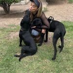 Aracely Arámbula Instagram - Amor del bueno !!! ✨🐶🐶🐶♥️♥️♥️ mis rescatados listos para irse en adopción a mi amada tierra Chihuahua 🫶 abrazándonos porque se van la cd Juárez donde van a estar super bien atendidos y con mucho espacio para correr libres donde puedan jugar y pasarla muy bien ✨👌🫶👍🏻😍🐶 gracias por adoptar a Luka mi niño de la camada de la güera que uds vieron en mis historias es in perrazo divino que amo y lo tuve en casa mucho tiempo muy felices y ahora con nuevo hogar ✨🫶 y la pinta rescatada de la calle con un tumor enorme cancerígeno a quien atendimos y le dimos tratamiento recibió sus quimios en abril del año pasado me llamo la veterinaria y me dijo la tenemos que dormir 🫢☹️🥲 lamé puse a llorar y le dije que hicieran todo para salvarla ✨🙏✨ me puse a pedir por ella junto con Judith y a las dos horas me mandan un video donde estaba reaccionando 😅✨🙏✨ Asi que hemos luchado mucho junto con ella por su vida y que ahora mi pinta tiene un gran hogar 🫢😍👌y ya recuperada a ella la vi en un post de @amorsinraza y tome el caso , Mauri estaba en una de mis locaciónes de La Madrastra en la iglesia con su patita lastimada la lleve al veterinario y se recuperó muy bien han pasado muchos meses los que son rescatistas saben que no es fácil que nos adopten perritos de talla grande perro con paciencia y mucho amor se logró gracias siempre hay que apostar a lo positivo y luchar por hacerlo posible estoy muy muy contenta porque les pude cumplir a estos 3 perritos y hay tantos esperando así que PORFAVOR pero no paremos de ayudar y darles la mano y pasar el mensaje de amar a los animales de respetar sus vidas y luchar por sus derechos y por darles voz ✨🙏✨ ellos valen mucho y siempre merecen una oprtunidad de mejorar su vida ✨🫶✨🐶🐶🐶 los perritos rescatados son los más agradecidos ♥️♥️♥️✨GRACIAS a toda mi ARAFAMILIA que ha seguido mis pasos como @anissapanal en españa y asi much@s GRACIAS DE CORAZÓN ♥️ NO PAREMOS 🙏😃🫶 #LOSAMO OOOOOOO !!!!!!!!