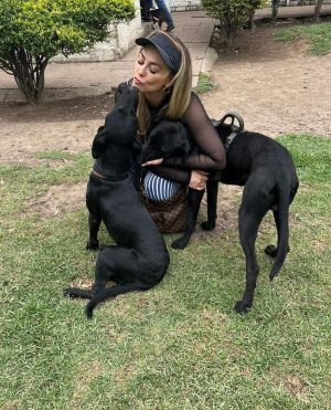 Aracely Arámbula Instagram - Amor del bueno !!! ✨🐶🐶🐶♥️♥️♥️ mis rescatados listos para irse en adopción a mi amada tierra Chihuahua 🫶 abrazándonos porque se van la cd Juárez donde van a estar super bien atendidos y con mucho espacio para correr libres donde puedan jugar y pasarla muy bien ✨👌🫶👍🏻😍🐶 gracias por adoptar a Luka mi niño de la camada de la güera que uds vieron en mis historias es in perrazo divino que amo y lo tuve en casa mucho tiempo muy felices y ahora con nuevo hogar ✨🫶 y la pinta rescatada de la calle con un tumor enorme cancerígeno a quien atendimos y le dimos tratamiento recibió sus quimios en abril del año pasado me llamo la veterinaria y me dijo la tenemos que dormir 🫢☹️🥲 lamé puse a llorar y le dije que hicieran todo para salvarla ✨🙏✨ me puse a pedir por ella junto con Judith y a las dos horas me mandan un video donde estaba reaccionando 😅✨🙏✨ Asi que hemos luchado mucho junto con ella por su vida y que ahora mi pinta tiene un gran hogar 🫢😍👌y ya recuperada a ella la vi en un post de @amorsinraza y tome el caso , Mauri estaba en una de mis locaciónes de La Madrastra en la iglesia con su patita lastimada la lleve al veterinario y se recuperó muy bien han pasado muchos meses los que son rescatistas saben que no es fácil que nos adopten perritos de talla grande perro con paciencia y mucho amor se logró gracias siempre hay que apostar a lo positivo y luchar por hacerlo posible estoy muy muy contenta porque les pude cumplir a estos 3 perritos y hay tantos esperando así que PORFAVOR pero no paremos de ayudar y darles la mano y pasar el mensaje de amar a los animales de respetar sus vidas y luchar por sus derechos y por darles voz ✨🙏✨ ellos valen mucho y siempre merecen una oprtunidad de mejorar su vida ✨🫶✨🐶🐶🐶 los perritos rescatados son los más agradecidos ♥️♥️♥️✨GRACIAS a toda mi ARAFAMILIA que ha seguido mis pasos como @anissapanal en españa y asi much@s GRACIAS DE CORAZÓN ♥️ NO PAREMOS 🙏😃🫶 #LOSAMO OOOOOOO !!!!!!!!