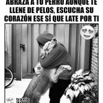 Aracely Arámbula Instagram - 🫶🐶🙏