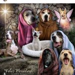 Aracely Arámbula Instagram - Hagamos que todos los seres maravillosos de Amor tengan una bonita navidad adoptemos rescatemos y salvemos vidas no son perritos de la calle son perritos abandonados así que hagamos que cada día haya mayor conciencia generosidad y amor 🙏❤️🐶🐾 para los seres de 4 patas 🙏🙏🙏 adopta no compres y si en tus manos está darles una mejor Vida nunca dudes porque sólo recibirás Amor y lealtad 🙏❤️🐶🎄🐾 y si no puedes tenerlos pero de pronto ven un perrito hambriento denle de comer y beber agua no duden en ayudarlo 🐶❤️🐾no pasen de largo quizá sean o seas su única oprtunidad 🙏 De todo corazón deseo mi #Arafamilia bella que tengan una gran noche buena y una hermosa Navidad al igual que todos los peludititos del mundo que puedan pasar una noche buena calientita y que no falte comida 🙏❤️🎄🐾🐶 hagamos realidad nuestro sueño de tener un mundo mejor 🙏❤️🎄 cada día es una oportunidad para ser mejores personas 🙏❤️🎄🐶🐾 LOS AMO Y LES DESEÓ INFINTA SALUD Y BENDICIONES!!!! TODO MI AM❤️R !!!! 🙏😘❤️🎄🐶🐾😘😘😘🥳🎊😘 FELIZ NAVIDAD 🎄!!!!!!!!!!!! ❤️❤️❤️❤️❤️❤️❤️❤️❤️❤️❤️