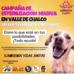 Aracely Arámbula Instagram - Únete y apadrina esterilizaciones para ayudar a estos seres de Amor y darles una mejor vida que no haya tanto perrito abandonado y tanto perrito en la calle esterilizar es un acto de AMOR ✨🫶✨🙏✨🐶♥️🫶💕 el costo 250 pesos nos unimos ? ✨🙏✨ informes con @primeroperro_mexico