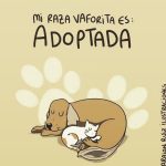 Aracely Arámbula Instagram - ✨🐶🫶♥️✨ADOPTA NO COMPRES ✨🙏✨🐶🫶♥️