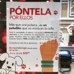 Aracely Arámbula Instagram - Mi #Arafamilia bella ayudemos a muchos animalitos que viven en la calle y podemos hacerlo de la mano de esta campaña de esterilización comprando estas pulseras que nos cuestan solo 10 pesos y el dinero se va íntegro para ayudar a esterilizar a muchos peritos y gatitos que terminan en la calle 🤦‍♀️😞 tú cómo yo que amamos a los animalitos unete para salvarlos vivir en la calle 🙏🏻 te sumas con nosotos ayudar ? Estas pulseras las encuentras en @mumuso_mx Gracias la fundación @amorsinraza 🙏🏻👍🏻@brigadasinraza 🐶🐱 🙏🏻 #amorsinraza #brigadasinraza #pontelaporellos @edgarfernandoerv 🙏🏻😘
