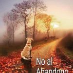 Aracely Arámbula Instagram - JAMÁS ABANDONES A UN FIEL AMIGO #NOALMALTRATOANIMAL ✨🙏✨🐶🫶♥️