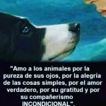 Aracely Arámbula Instagram - Por eso y más …. Nuestros fieles AMIGOS 🐶🫶♥️✨😻✨🙏✨ POR EL RESPETO A LA VIDA AMINAL ✨🙏✨🫶🐶♥️ FELIZ DOMINGO