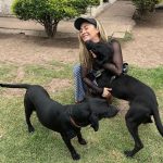 Aracely Arámbula Instagram - Amor del bueno !!! ✨🐶🐶🐶♥️♥️♥️ mis rescatados listos para irse en adopción a mi amada tierra Chihuahua 🫶 abrazándonos porque se van la cd Juárez donde van a estar super bien atendidos y con mucho espacio para correr libres donde puedan jugar y pasarla muy bien ✨👌🫶👍🏻😍🐶 gracias por adoptar a Luka mi niño de la camada de la güera que uds vieron en mis historias es in perrazo divino que amo y lo tuve en casa mucho tiempo muy felices y ahora con nuevo hogar ✨🫶 y la pinta rescatada de la calle con un tumor enorme cancerígeno a quien atendimos y le dimos tratamiento recibió sus quimios en abril del año pasado me llamo la veterinaria y me dijo la tenemos que dormir 🫢☹️🥲 lamé puse a llorar y le dije que hicieran todo para salvarla ✨🙏✨ me puse a pedir por ella junto con Judith y a las dos horas me mandan un video donde estaba reaccionando 😅✨🙏✨ Asi que hemos luchado mucho junto con ella por su vida y que ahora mi pinta tiene un gran hogar 🫢😍👌y ya recuperada a ella la vi en un post de @amorsinraza y tome el caso , Mauri estaba en una de mis locaciónes de La Madrastra en la iglesia con su patita lastimada la lleve al veterinario y se recuperó muy bien han pasado muchos meses los que son rescatistas saben que no es fácil que nos adopten perritos de talla grande perro con paciencia y mucho amor se logró gracias siempre hay que apostar a lo positivo y luchar por hacerlo posible estoy muy muy contenta porque les pude cumplir a estos 3 perritos y hay tantos esperando así que PORFAVOR pero no paremos de ayudar y darles la mano y pasar el mensaje de amar a los animales de respetar sus vidas y luchar por sus derechos y por darles voz ✨🙏✨ ellos valen mucho y siempre merecen una oprtunidad de mejorar su vida ✨🫶✨🐶🐶🐶 los perritos rescatados son los más agradecidos ♥️♥️♥️✨GRACIAS a toda mi ARAFAMILIA que ha seguido mis pasos como @anissapanal en españa y asi much@s GRACIAS DE CORAZÓN ♥️ NO PAREMOS 🙏😃🫶 #LOSAMO OOOOOOO !!!!!!!!