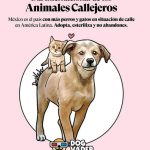 Aracely Arámbula Instagram - Mi mayor deseo es que haya más empatía y consideración para estos seres de Amor y de luz 🙏♥️💯 seres que solo saben dar lo mejor 🐶🐾 ojalá y aprendiéramos cada día mas de ellos los seres humanos 🙏♥️🐶 y ayúdemos a que no hayan perritos de la calle porque no son la calle son perros abandonados y duele el Alma verlos, cada vez que los veo en las calles o carreteras quiero llevármelos y lo he hecho a pesar de que no es fácil porque ha sido de Madrugada y grabando nada impide hacerlo por el amor tan grande que siento por ellos todavía tengo 5 perritos en pensión desde hace vi años porque no han sido adoptados 🥲 y es muy triste pero no voy a parar de luchar y darles VOZ 🙏🐶♥️ para darles un buen hogar y familia aunque no sea fácil hay veces que por más que les buscamos es muy complicado ojalá que las personas cambian esa mentalidad de que los perros tienen q vivir mal o vivir afuera cuando son mejores que muchas personas leales , fieles, cariñosos guardianes y dan todo por uno 🙏♥️🐶 tu que me lees y entiendes este leguaje de AMOR hacia estos seres sabrás porque lo digo 🙏♥️🐶 invito a todos ustedes mi #Arafamilia bella ayudarlos si ven alguno en la calle no se pasen de largo no sabemos cuantos días tenga sin comer 🙏🙏🙏 no seamos indiferentes al maltrato y a esa vida no digamos vida de perro porque eso debe de cambiar ADOPTA NO COMPRES y tendrás una recompensa hermosa de por vida y compañía de lo mejor !!! Esteriliza que es un acto de AMOR 🙏 proteger cuidar y vacunar si no puedes adoptar ayuda algún perrito o gatito de tu colonia con comida agua y con vacunas para que no se enferme ponte en sus patitas 🐾 🙏 QUIEN AMA A LOS ANIMALES ES UN GRAN GRAN SER HUMANO !!!! Luchemos por un mundo mejor para nuestros hijos !!!!!! 🙏🙏🙏🙏🙏♥️🐶🐾