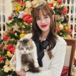 Arci Muñoz Instagram - 🎄🎁🎄🎅🏻🧑🏻‍🎄⛪️ @hm