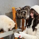 Arci Muñoz Instagram - Raccoon 🤍 met my spirit animal and I can’t contain my happiness!! I’m a #racoon cos… 1. Dark circles around eyes 2. Stays up all night 3. Eats junk food 4. Cute 5. Chubby 6. Can be vicious 🦝🦝🦝 #arcismundo Seoul, South Korea