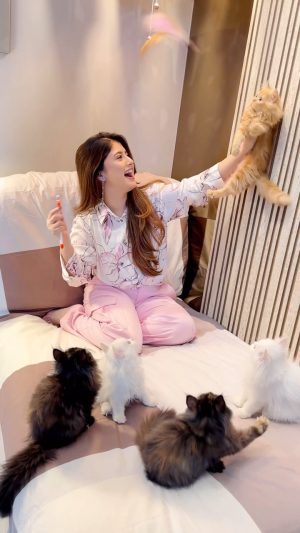 Arishfa Khan Instagram - Happy 3 months my babies❤️🐾🪐
Itni jaldi jaldi bade mat ho please🥺 #arishfapets #cats