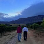 Athiya Shetty Instagram - Life in Cape Town >>>