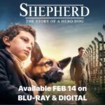 August Maturo Instagram - ❤️Feb 14, you can finally stream my film SHEPHERD here in the US/Canada on digital (Apple, Amazon, Google, Google/YouTube, Xbox Movies, RedBox Digital and InDemand) and it’s also available for purchase on Blu-Ray & DVD on Amazon! If you love dogs & history, you will love this film! #shepherdthestoryofaherodog