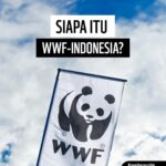 Aurélie Moeremans Instagram - Kata pepatah, “Tak kenal maka tak sayang”. Maka, yuk kita kenalan lagi! 🙋‍♀️☝️ WWF-Indonesia bukan hanya sekadar organisasi pelindung satwa atau pelestari lingkungan. Kami melakukan banyak hal selain pelestarian satwa. Sejak 1962, kami berdiri teguh untuk mendukung Indonesia dalam menjaga keanekaragaman hayati, dengan misi membangun masa depan di mana kita semua bisa hidup selaras dengan alam. Kenali kami lebih dekat, dan jadilah bagian dari perjuangan ini! Sebelumnya, apa sih yang terlintas di pikiran kamu tentang WWF-Indonesia. Jawab di kolom komentar, ya. 😉 #WWFIndonesia #togetherpossible Indonesia Raya