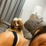 Aurélie Moeremans Instagram - Cerita gemas hari ini ✨ Jadi semalem aku pulang ke rumah tuh dalam keadan sakiiiit semua badan aku.. Perut kacau balau, sebadan pegel maksimal tulang dan sendinya.. Ternyata alergi obat yang dikasih dokter dan disuruh langsung stop semua obat dan minum susu anget yang banyak biar netral.. Aku sampe rumah minta dipijitin mama aku saking gak kuat pegalnya ( padahal aku ga suka dipijit biasanya ). Mama bantu pijitin, terus pas mama ke kamar ngambil sesuatu, Cookie langsung naik ke atas punggun aku ambil posisi mama terus belagak mijitin aku gitu 🥹 LUCU BANGET YAAMPUN! Berasa banget my doggies tuh bisa ngerasain kalau aku lagi sakit, mereka jadi sweeeeet banget..
