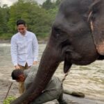 Aurélie Moeremans Instagram - Kesayangannya @ganindrabimo nih 🐘