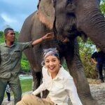 Aurélie Moeremans Instagram - Elephant massage, anyone ?? 🐘 Disclaimer✨: 1. Video ini di CRU, menampilkan gajah terlatih yang khusus membantu menghalau gajah liar dari pemukiman. Mereka sudah terbiasa berinteraksi dengan manusia. 2. Lokasinya bukan taman nasional yaa, tidak memerlukan izin khusus. 3. Tujuan video ini hanya untuk meningkatkan kesadaran tentang konflik gajah-manusia di Aceh, menginspirasi kecintaan dan kerjasama antara semua pihak untuk solusi damai bersama gajah.
