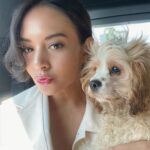 Aurélie Moeremans Instagram - Siang ini aku mau “ meditation retreat “ nih di Bali selama 7 hari dan selama 6 hari, aku gak akan boleh ngomong, megang handphone, baca, ngelamun, dll ( see slide 3 ) Only meditating, olah tubuh dan makan makanan vegan 🌱 I’m too excited for this retreat!!! I’ll see you next week dan untuk job inquiry bisa hubungin mas Petra di +62 811-9517-567 ( tetep ) Oh and @faunafella.dog 🥹 aku titip anak-anak aku yaa 🐶! Makasih untuk selalu ngupdate aku dengan mengirim-mengirim video dari kemarin 🥰 Temen-temen Burung Elang 🦅 Minggu depan aku spam kalian lagi, wait for me! 💋