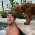 Austin North Instagram - puppers