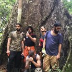 Avicii Instagram - #bigasstree #amazon Amazonas