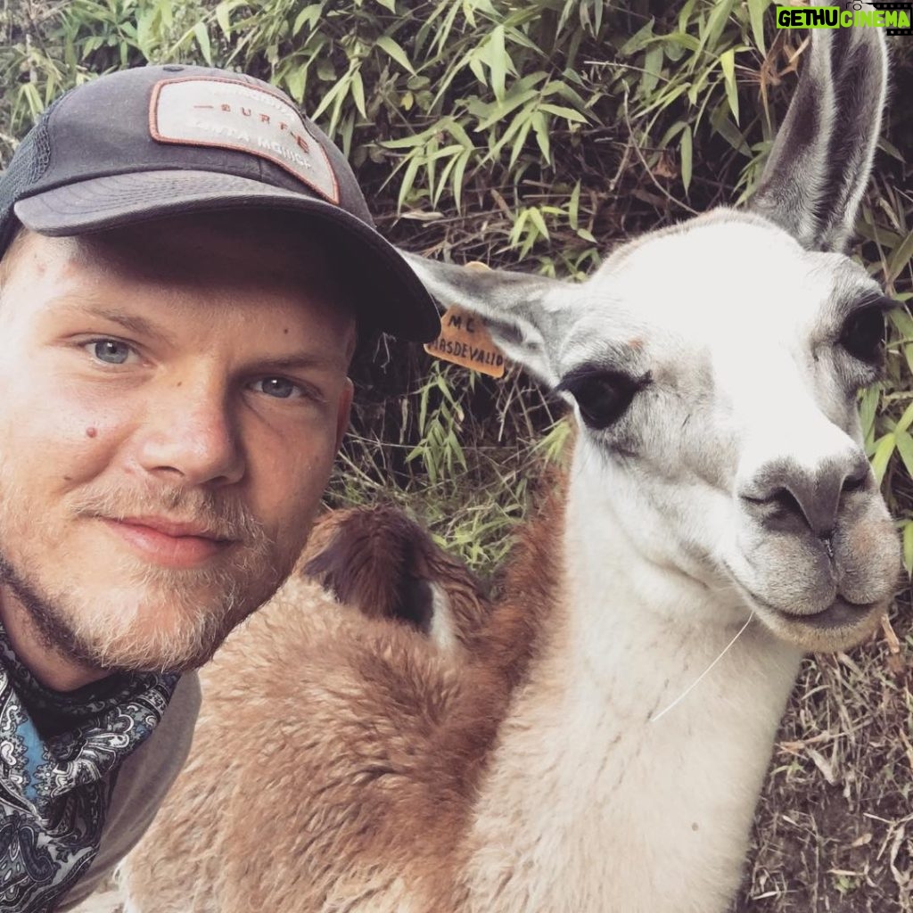 Avicii Instagram - #newfriends #twins Machu Picchu Tours