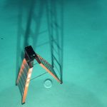 Avicii Instagram - One thing most people don't know is that pools are great for storing ladders 🙃