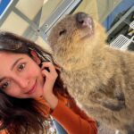 Barkha Singh Instagram - Haso, Jiyo, Muskurao. Kya pata _______ Comment with ❌ answers only!! 😆😆 #friday #friyay #TravelwithB #traveldiaries #Australia #Perth #RottnestIsland #westernAustralia #travel #travelexperiences