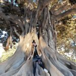 Bayan Alaguzova Instagram - Я так долго позировала, в итоге поняла, что дерево победило - оно совершенно! Valencia, Spania