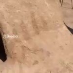 Behnoush Bakhtiari Instagram - من زیاد سفر میکنم باور میکنم به چشم خودم از این بدبخت تر هم دیدم انگار هیچ راهی نیست شاید....باید راهی باشد باید راهی باشد Tehran, Iran