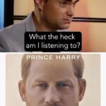 Ben Shapiro Instagram - Prince Harry’s new book is um…a little too honest.