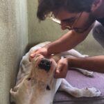 Berk Atan Instagram - Dün gece hayatımdan dost kayıp gitti. Tek çocukken bana kardeşlik yaptığın için sana çok teşekkür ederim. Senin gibi iyi niyetli, güzel kalpli, esaslı karaktere sahip bi dosta sahip olduğum için çok mutlu çok şanslıydım. Değil 9 keşke 90 sene hayatımda kalabilseydin be Aresim. Hayatımıza sığdırdığımız her an için çok teşekkür ederim. Gittiğin yerde çok mutlu ol oğul. Kalbimizin en güzel yerinde kalmaya devam edeceksin...