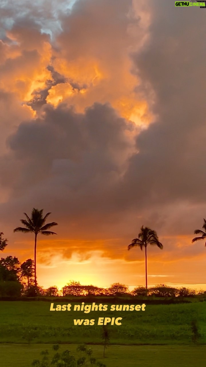 Bethany Hamilton Instagram – Summer Sunset viewing goals going strong ☀ ...