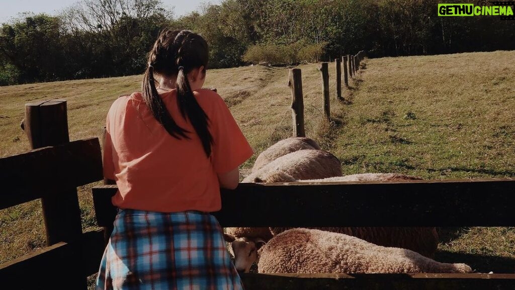 Bia Jordão Instagram - menina da fazenda.