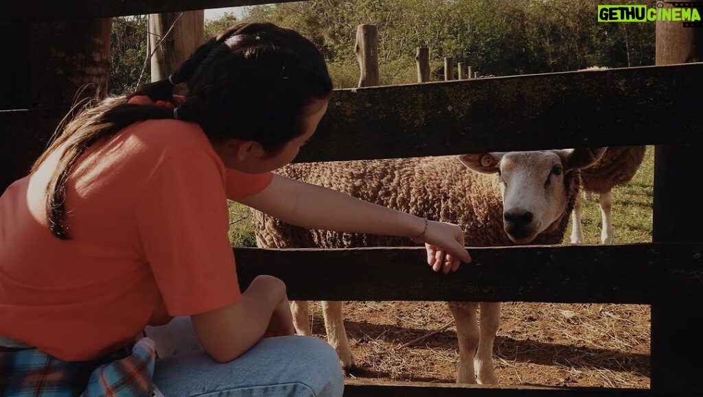 Bia Jordão Instagram - menina da fazenda.