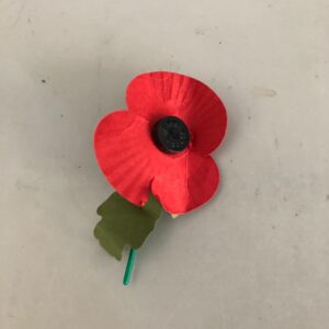 Bill Nye Instagram - Paper Poppies commemorate the veterans of World War 1. My grandfather survived it, and here I am. I cannot help but think of him and his comrades and be thankful for every day of freedom.